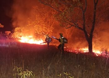 Brigadistas atuam no combate e prevenção à incêndios no Amazonas (Foto: Reprodução)