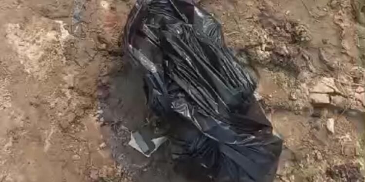 Cabeça é encontrada em igarapé no bairro Educandos (Foto: Reprodução)