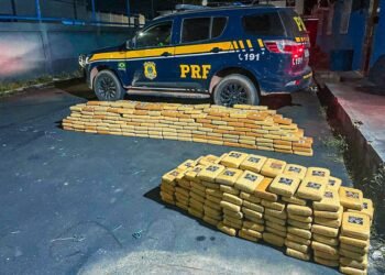 Avião com drogas é abandonado na BR-174 no Amazonas