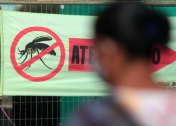 dengue-brasil-mortes