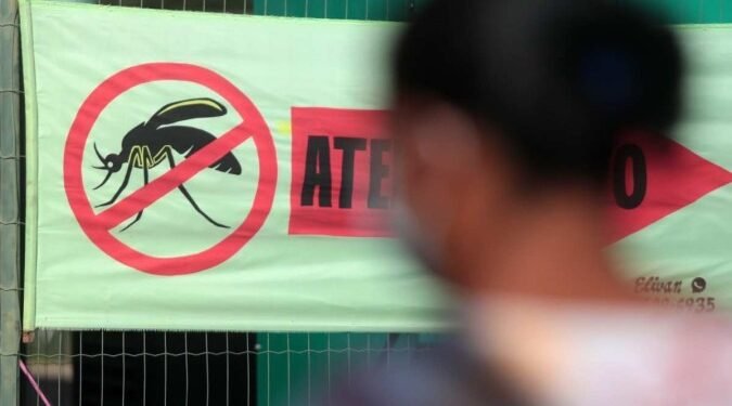 dengue-brasil-mortes