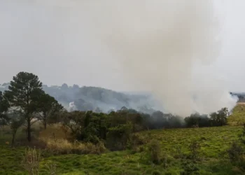 Polícia prende quinto suspeito de incêndios criminosos em SP