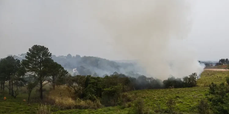 Polícia prende quinto suspeito de incêndios criminosos em SP