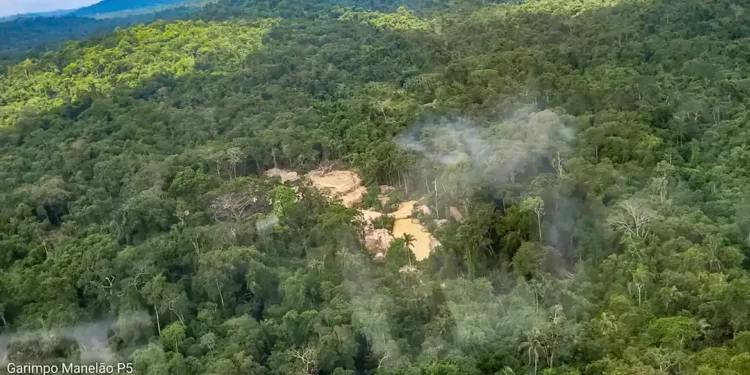 MPF move ação na Justiça Federal por demarcação de terra indígena