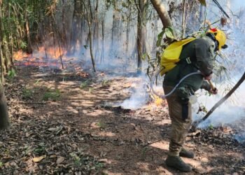 Unidades de Conservação do Baixo Rio Negro recebem ações de combate a focos de incêndio