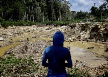 Operação da PF combate garimpo ilegal na Terra Indígena Yanomami