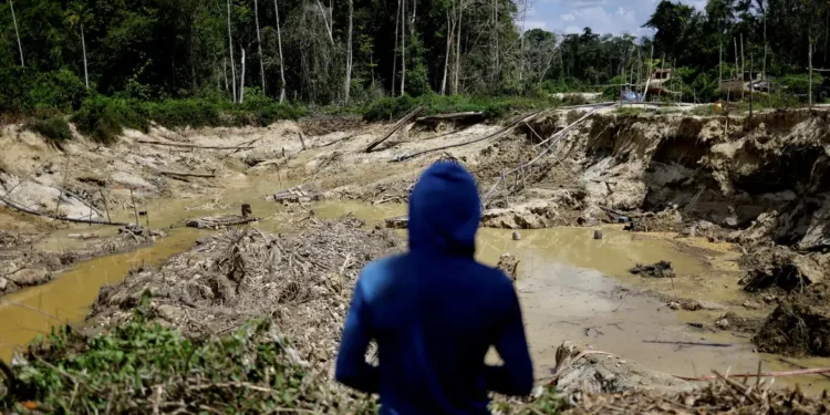 Operação da PF combate garimpo ilegal na Terra Indígena Yanomami