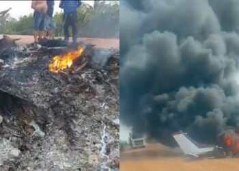 Avião pega fogo após queda na BR-319 (Foto: Reprodução)