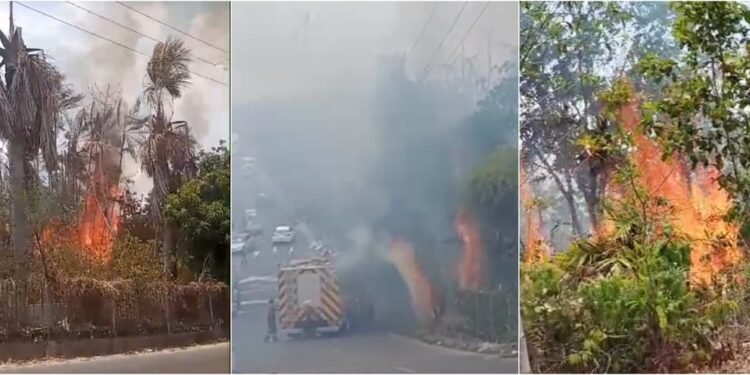 Incêndios atingem vegetação em várias zonas de Manaus