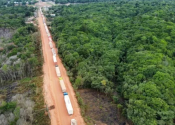 Carretas ficam travadas em filas para aguardar travessia de balsa na BR-319 (Reprodução/Internet)