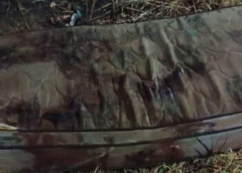 Corpo em decomposição