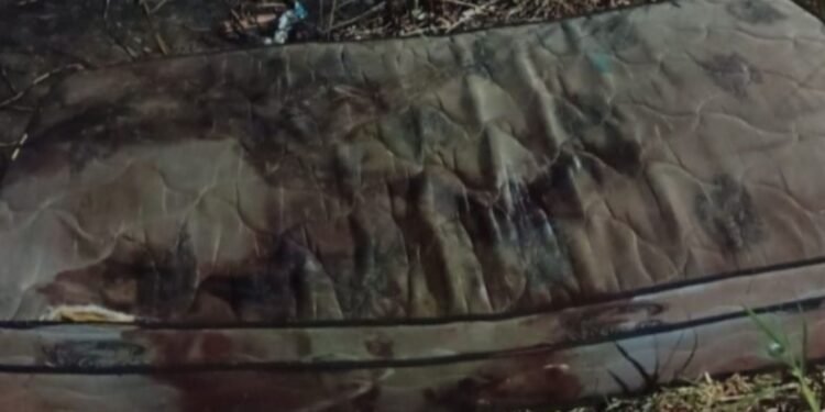 Corpo em decomposição