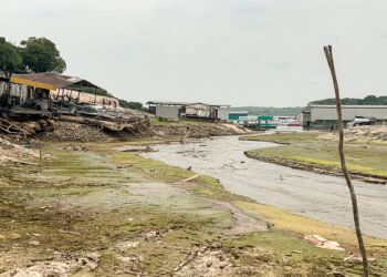 Seca no Amazonas