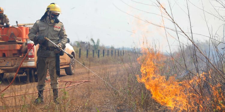 Senado propõe transformar incêndios em áreas rurais em crime hediondo - (Foto: Divulgação/ Secom)