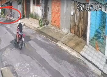 Motociclista atropela idosa