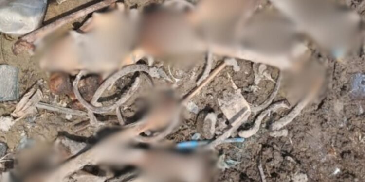 Ossada humana é encontrada com a baixa do rio