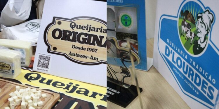 A Terra do Leite e do Queijo ganha reconhecimento por seu produto (Divulgação/Sebrae-AM)
