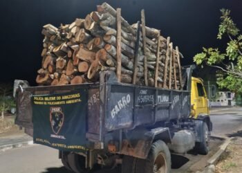 Material ilegal apreendido - (Foto: Divulgação/SSP-AM)