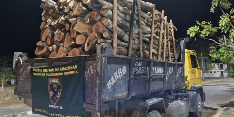 Material ilegal apreendido - (Foto: Divulgação/SSP-AM)