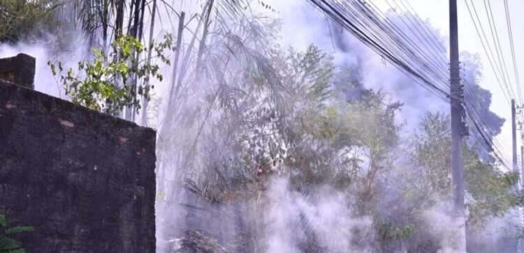 Polícia Federal investiga incêndio na área do Inpa em Manaus