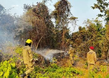 Em Iranduba, mais de 300 focos de incêndio foram combatidos em 24 horas