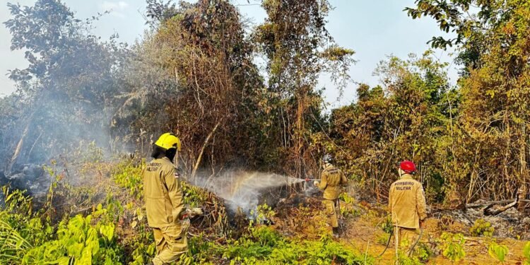 Em Iranduba, mais de 300 focos de incêndio foram combatidos em 24 horas