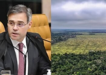 STF prorroga prazo para governo apresentar plano de ação para Amazônia
