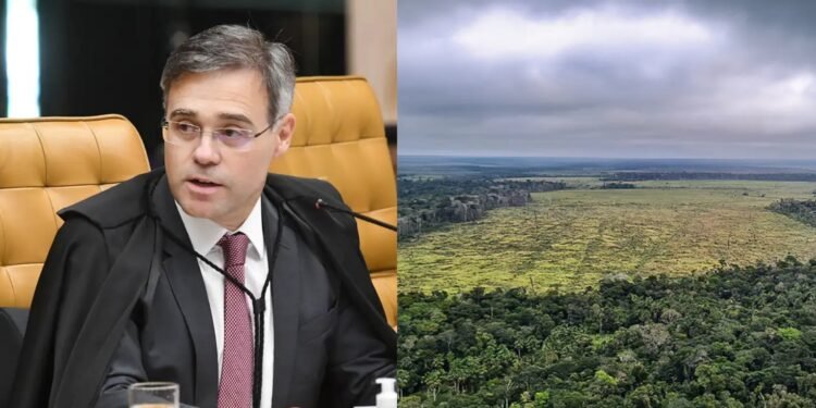 STF prorroga prazo para governo apresentar plano de ação para Amazônia