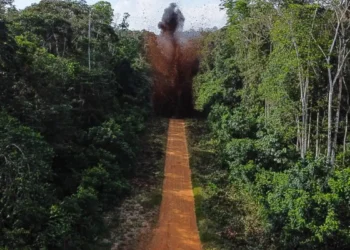 Governo destrói pista de pouso clandestina na Terra Yanomami