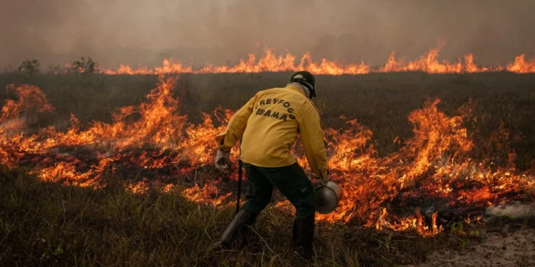 brasil-incendios-america