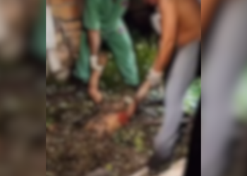 cadáver encontrado em terreno