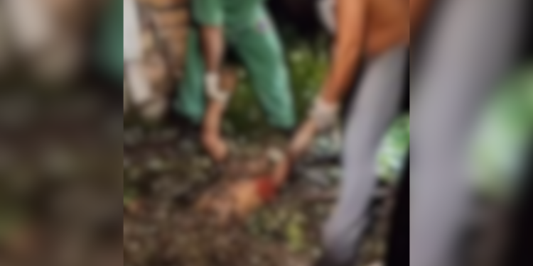 cadáver encontrado em terreno