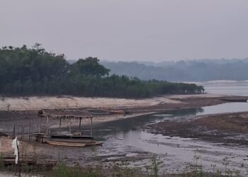 (Foto: Divulgação / Secretaria de Cultura e Economia Criativa)