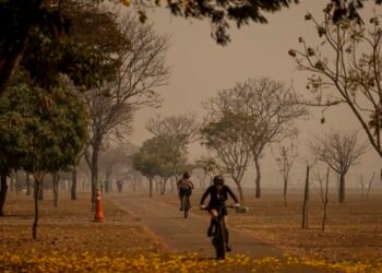 Ministra diz que queimadas têm impacto forte no sistema de saúde - (Foto: Marcelo Camargo/ Agência Brasil)