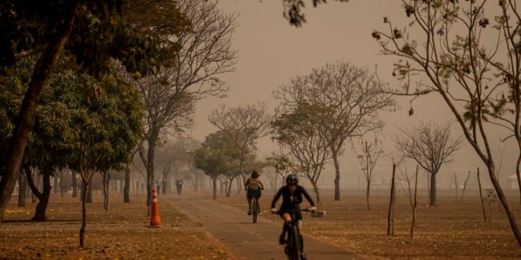 Ministra diz que queimadas têm impacto forte no sistema de saúde - (Foto: Marcelo Camargo/ Agência Brasil)