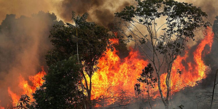 Incêndios e seca na Amazônia e no Pantanal batem marcas históricas