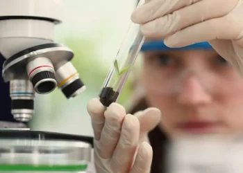 Prêmio de Ciência voltado para mulheres e meninas abre inscrições 