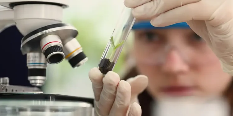 Prêmio de Ciência voltado para mulheres e meninas abre inscrições 