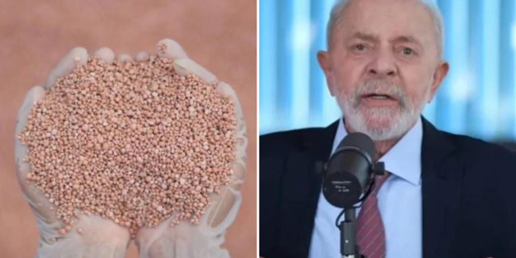 potassio-lula