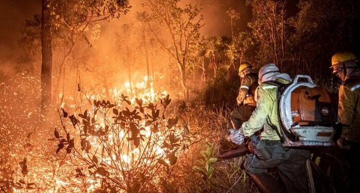 queimadas-brasil