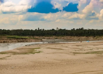 Rio Juruá tem trechos quase intrafegáveis no Amazonas e no Acre (Juan Diaz/ContilNet)