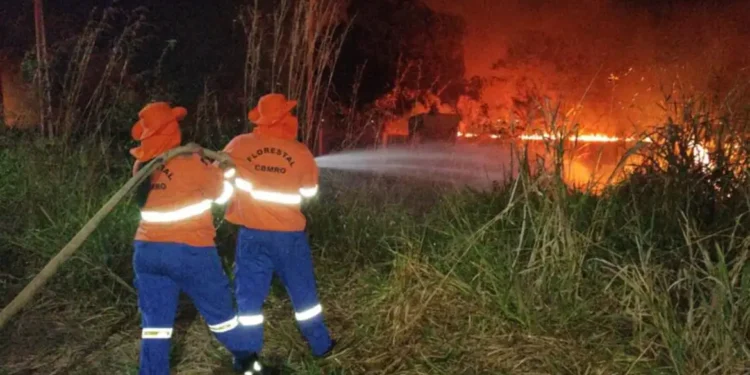 Brasil registrou 2,7 mil focos de incêndio nas últimas 24 horas