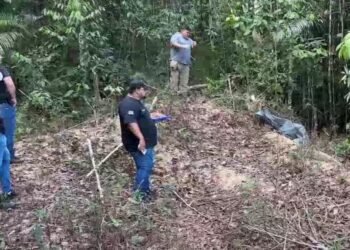 Corpo é encontrado no ramal do Canarinho na AM-010