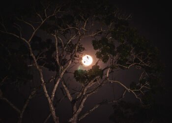 Maior superlua do ano poderá ser vista nesta quinta-feira, 17/10, em todo o país (Foto: João Dejacy/ Rios de Notícias)