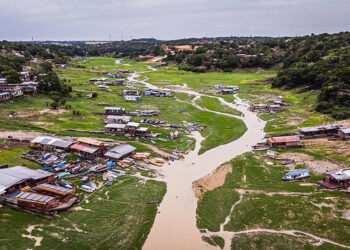 Manaus tem seca histórica; SGB prevê início da cheia em novembro, em Tabatinga