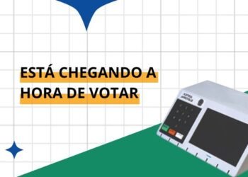 Alguns serviços estarão disponíveis neste primeiro turno das eleições (Foto: Reprodução/ TRE-SC)