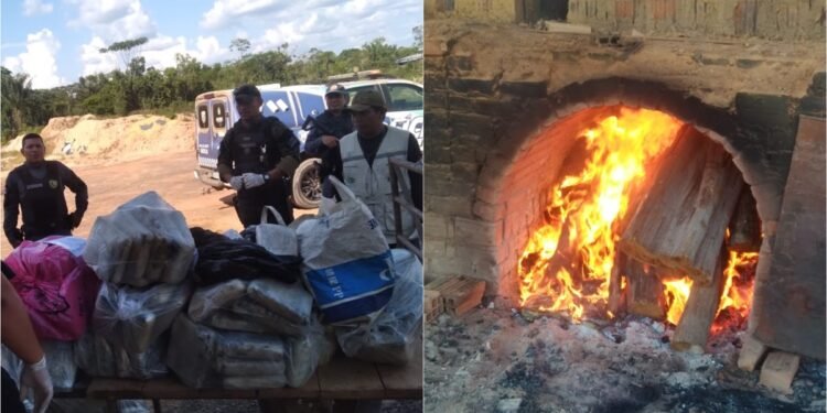 Polícia Civil incinera aproximadamente 200 Quilos de Drogas em Barcelos