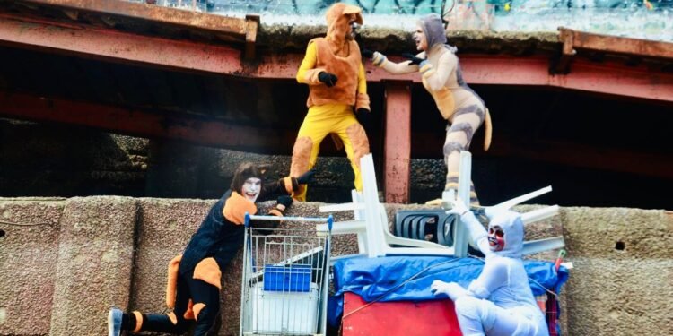 O musical promete uma imersão completa, oferecendo momentos de emoção e diversão (Divulgação/Assessoria)