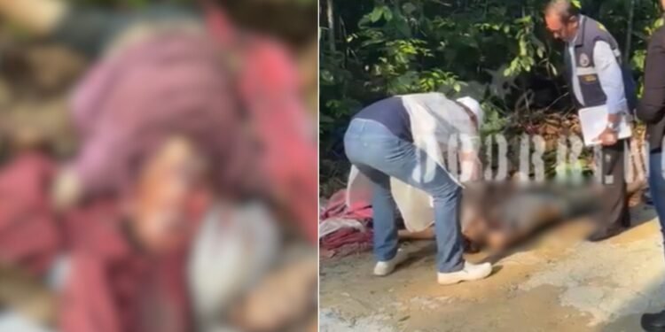 Corpo encontrado na AM-010