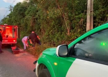 Corpo encontrado no Tarumã